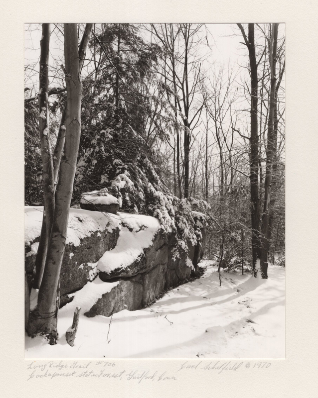 6 Long Ridge Trail Lost Lake Cockaponset State Forest Guilford CT 1970.jpg