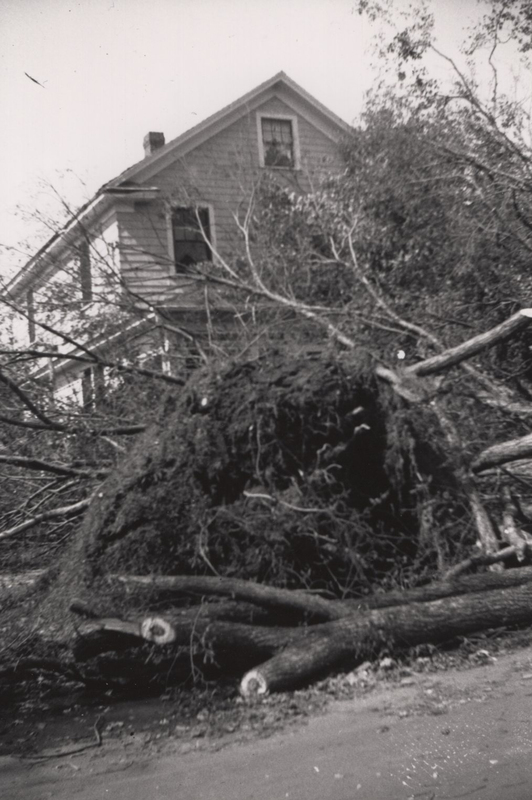 img017.jpg img017.jpg