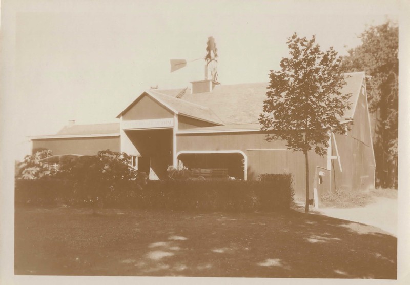 pic001.jpg pic001.jpg