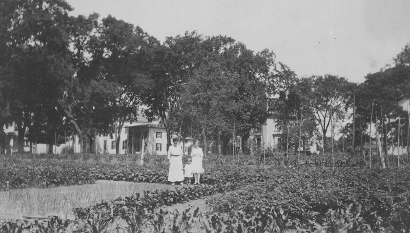 Guilford Library site 1918.jpg Guilford Library site 1918.jpg