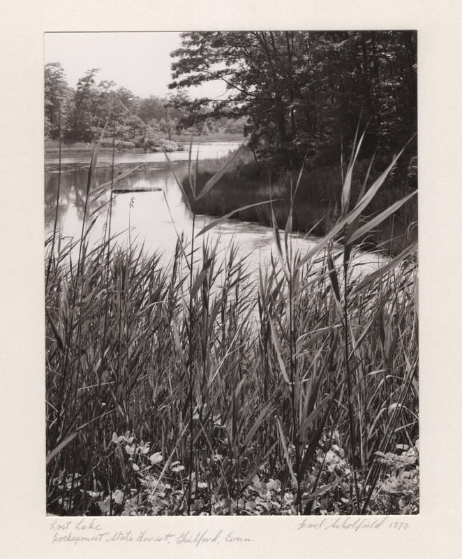 1 Lost Lake Cockaponset State Forest Guilford CT 1970.jpg 1 Lost Lake Cockaponset State Forest Guilford CT 1970.jpg