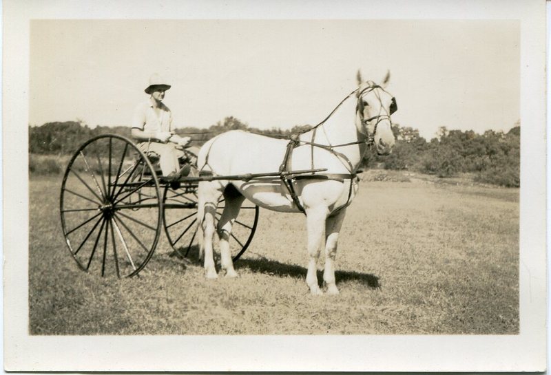 Abbott Wilcox Jr or June along with horse Prince at Foote Farm, 1937, donated by AW.jpg Abbott Wilcox Jr or June along with horse Prince at Foote Farm, 1937, donated by AW.jpg