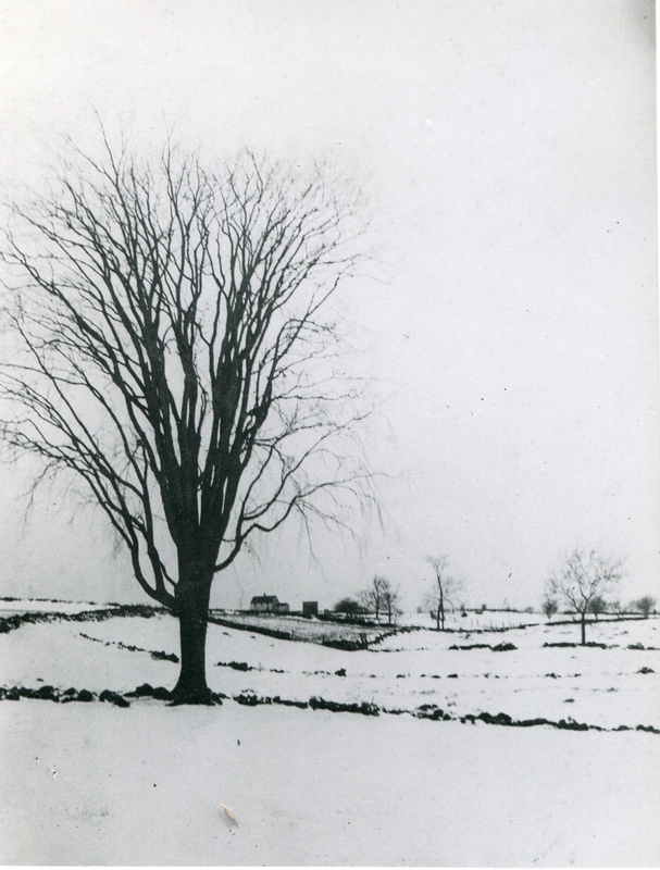 Pasture and farm land up across 405 Tanner Marsh Rd with elm tree which stood bgack at what is now 308 Clapboard Hill Road 1920's095.jpg Pasture and farm land up across 405 Tanner Marsh Rd with elm tree which stood bgack at what is now 308 Clapboard Hill Road 1920's095.jpg