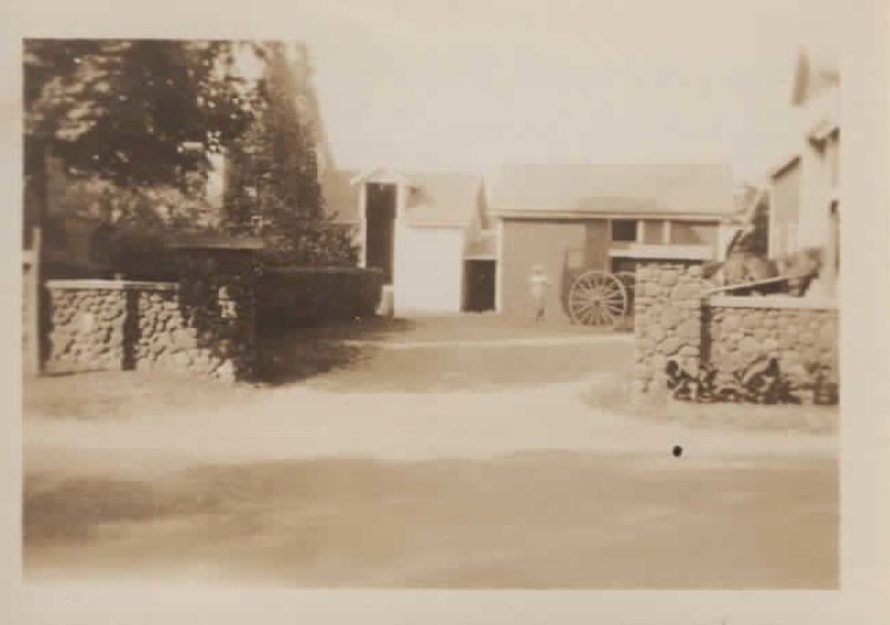 pic015.jpg pic015.jpg