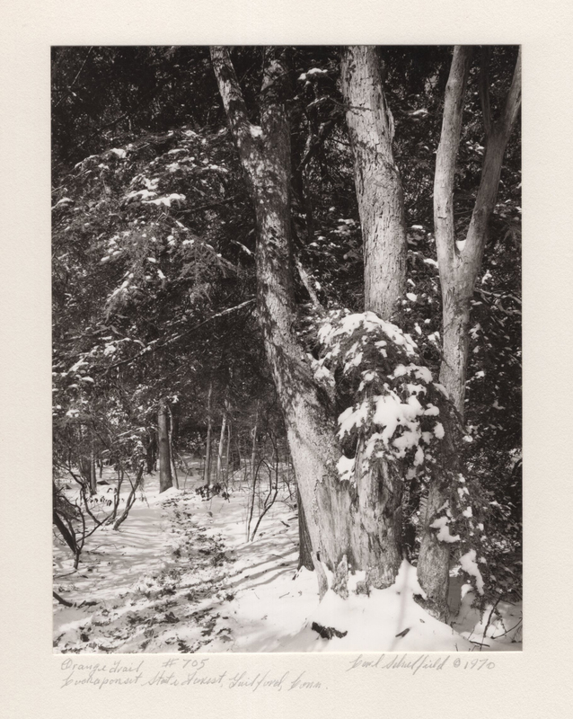 5 Orange Trail Lost Lake Cockaponset State Forest Guilford CT 1970.jpg 5 Orange Trail Lost Lake Cockaponset State Forest Guilford CT 1970.jpg