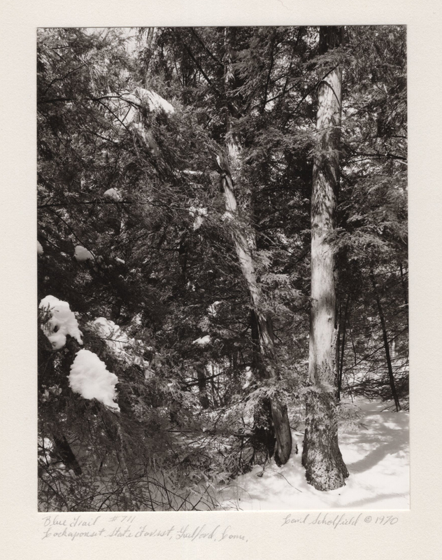 11 Blue Trail Lost Lake Cockaponset State Forest Guilford CT 1970.jpg 11 Blue Trail Lost Lake Cockaponset State Forest Guilford CT 1970.jpg