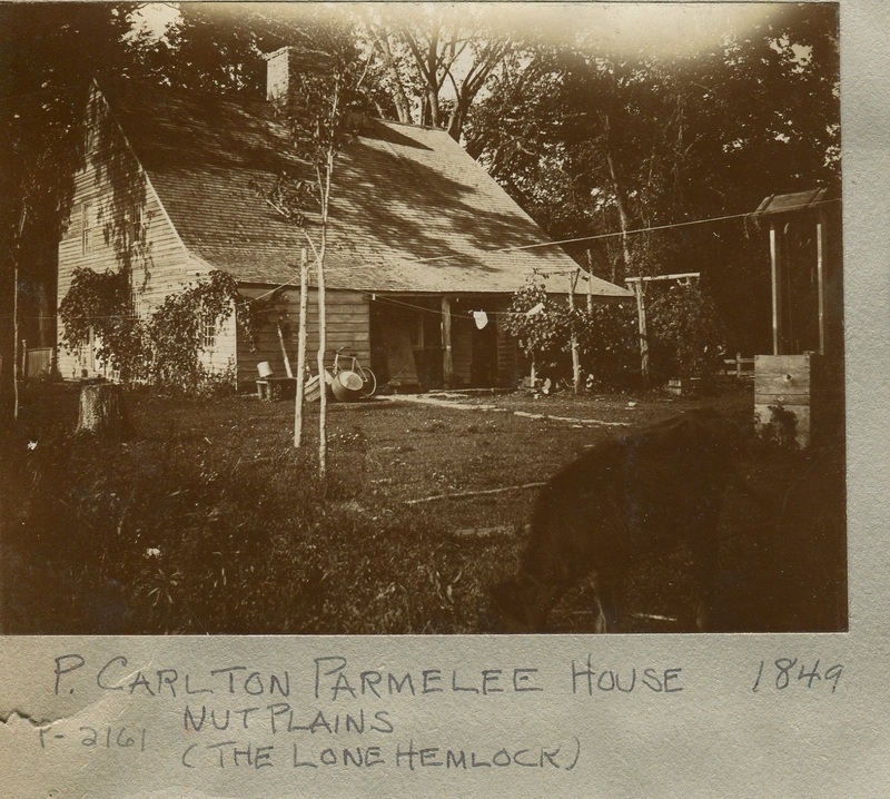 nutplains 1.jpg nutplains 1.jpg