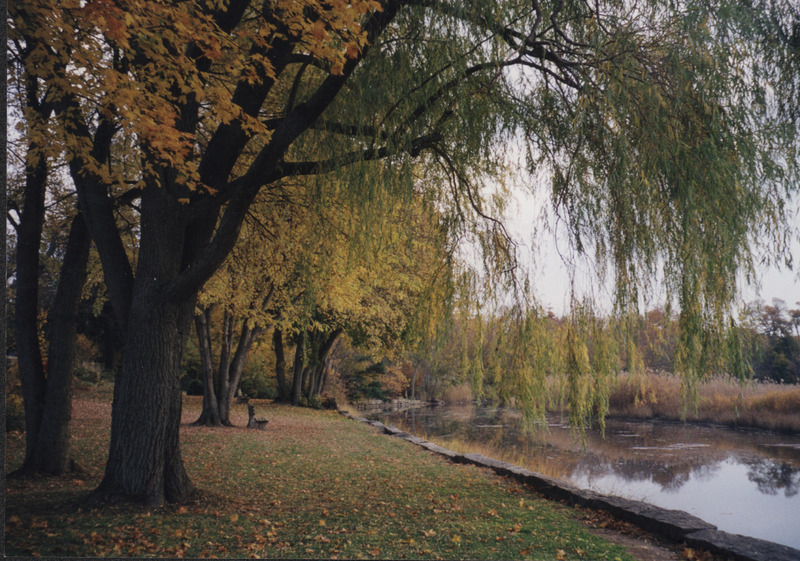 Olmstead's Outlook 1.jpg Olmstead's Outlook 1.jpg