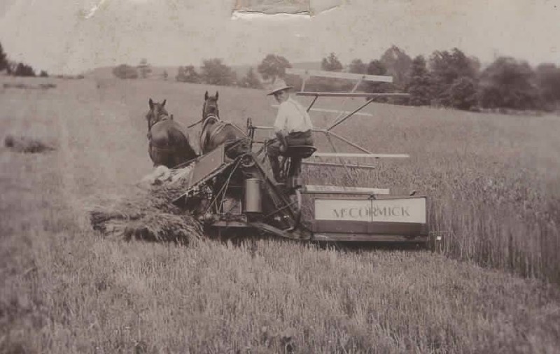 pic007.jpg pic007.jpg