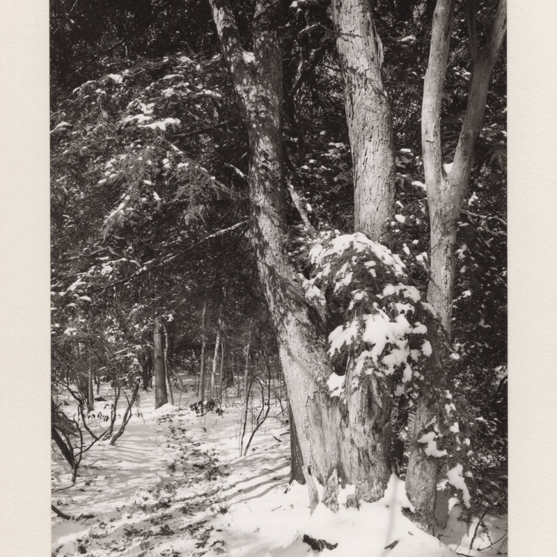 5 Orange Trail Lost Lake Cockaponset State Forest Guilford CT 1970.jpg