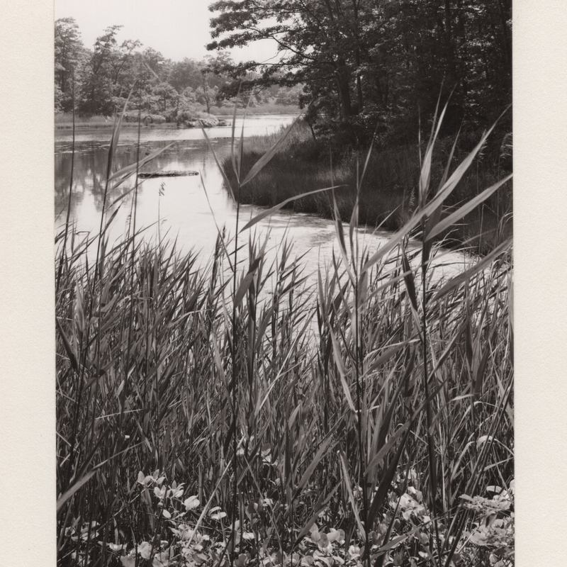 1 Lost Lake Cockaponset State Forest Guilford CT 1970.jpg
