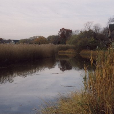 Olmstead's Outlook 2.jpg